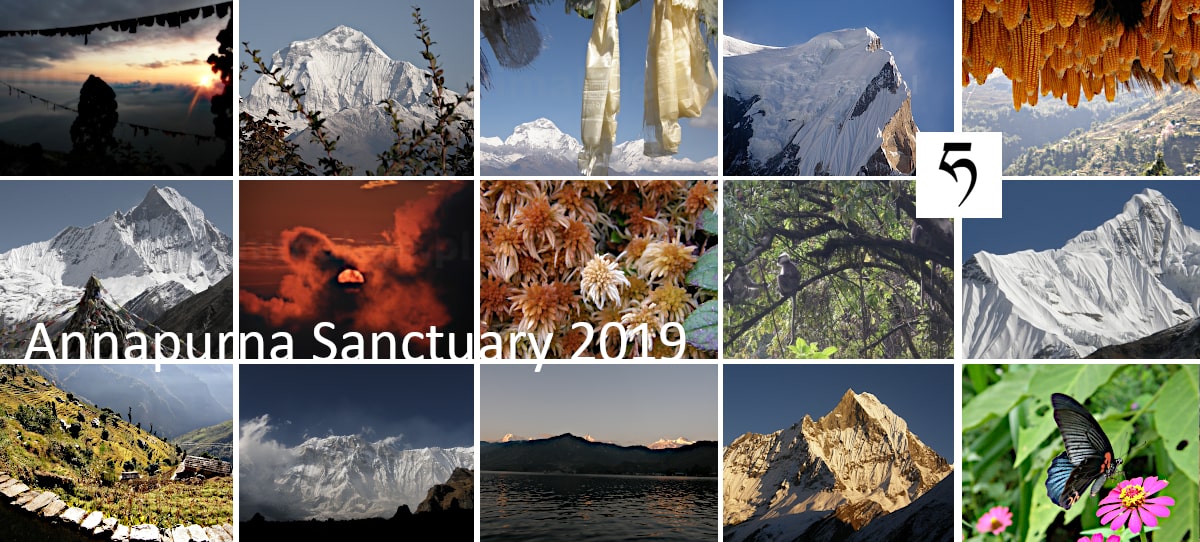 mozaikasanktuarium2019 min